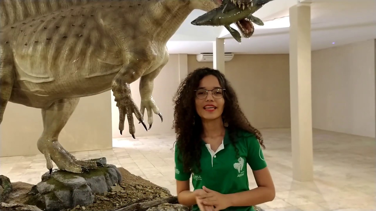 Museu de Paleontologia Plácido Cidade Nuvens - Santana do Cariri- CE 2019