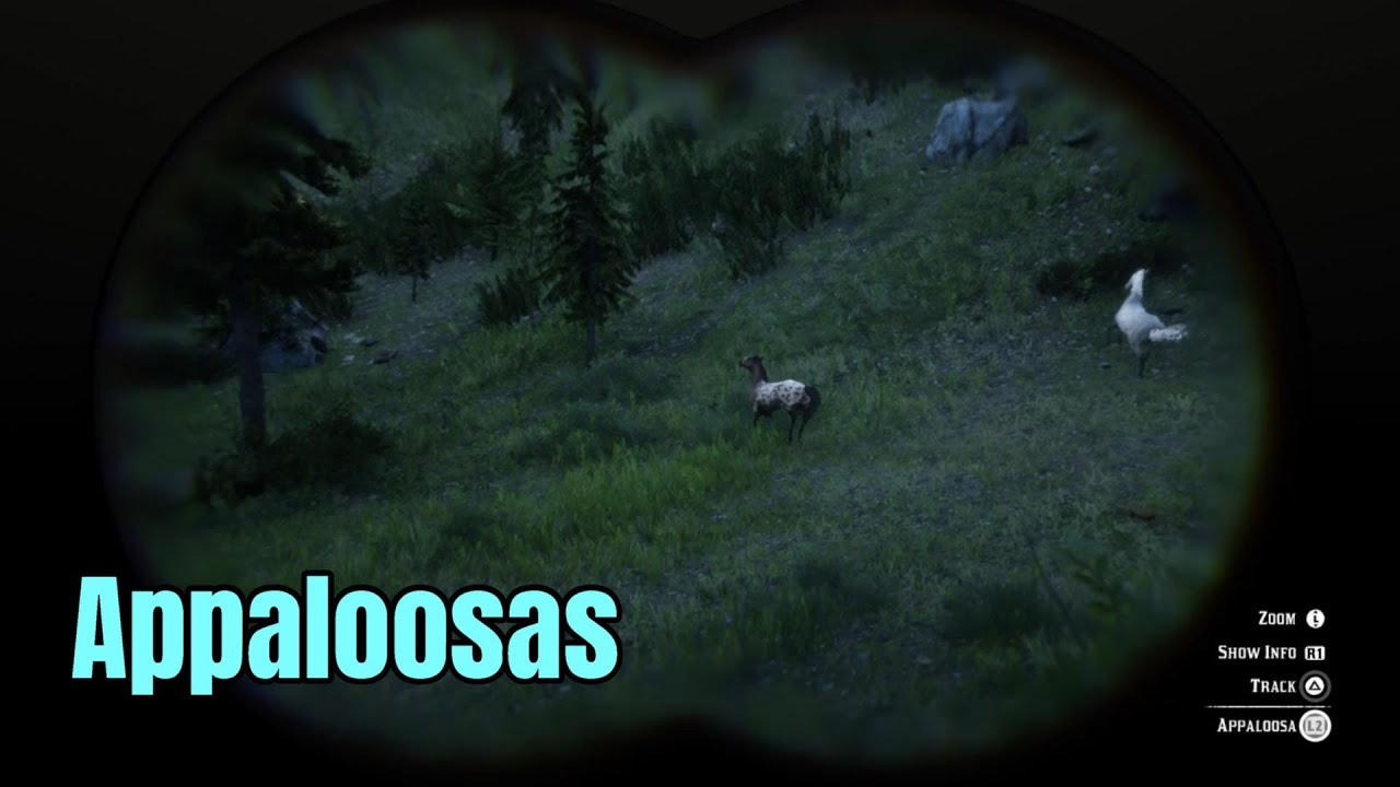 All 3 Wild Appaloosas Together Near Hanging Dog Ranch : Red Dead Redemption 2