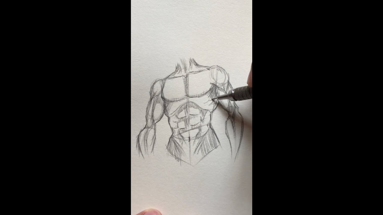 Como Desenhar Anatomia Masculina