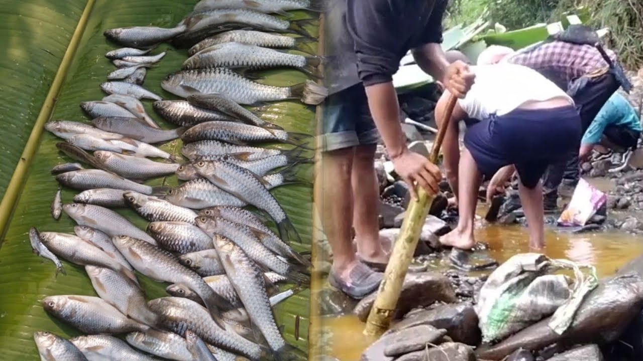 Traditional Way of Fishing 🐟🦐🦀