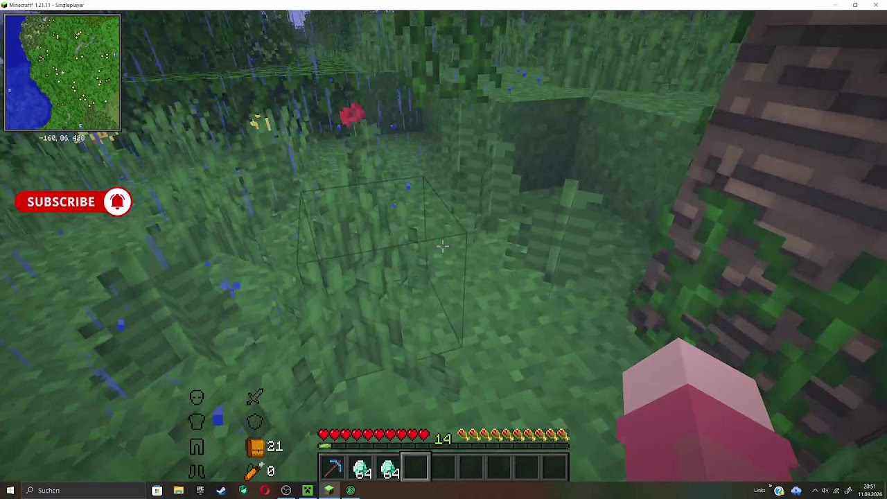 Minecraft am 11.03.2026