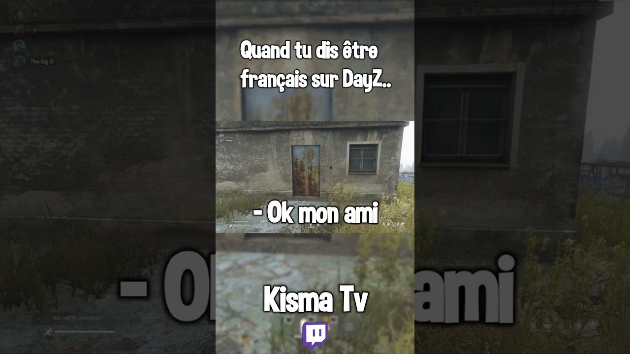 Quand tu dis que tu viens de France sur DayZ