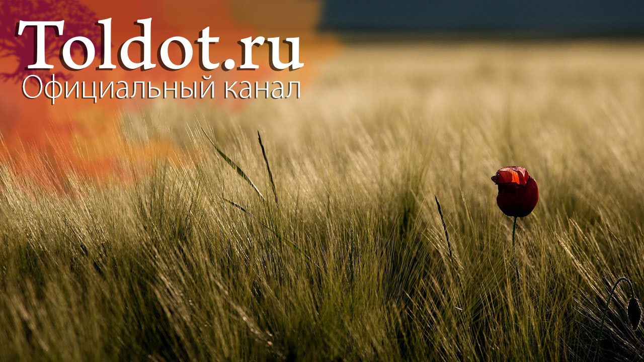 Как можно всю жизнь жить с одним мужчиной? Рав Ашер Кушнир о современной семье.