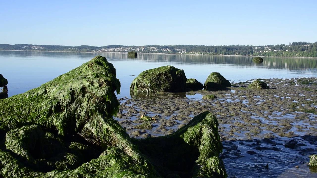 Barnum Point