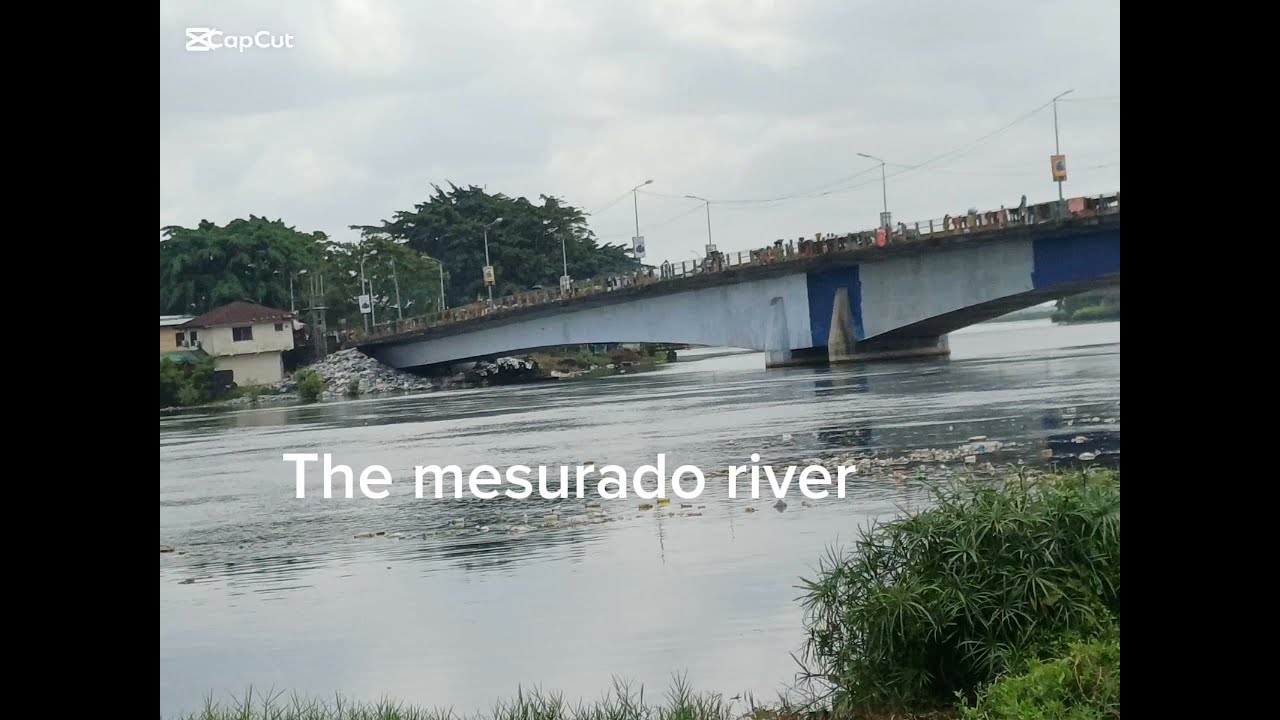 How to restore and conserve mangroves and wetlands ecosystem from Liberia 