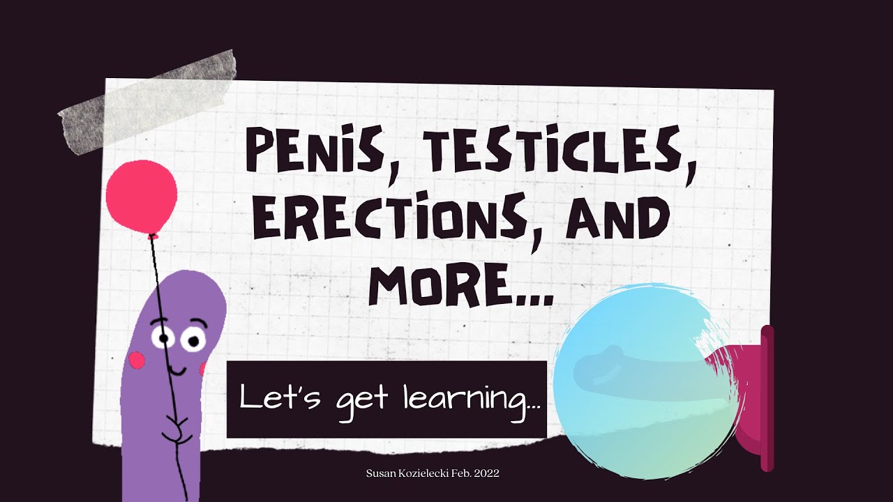 Penis, Testicles, Erections, and so much more.