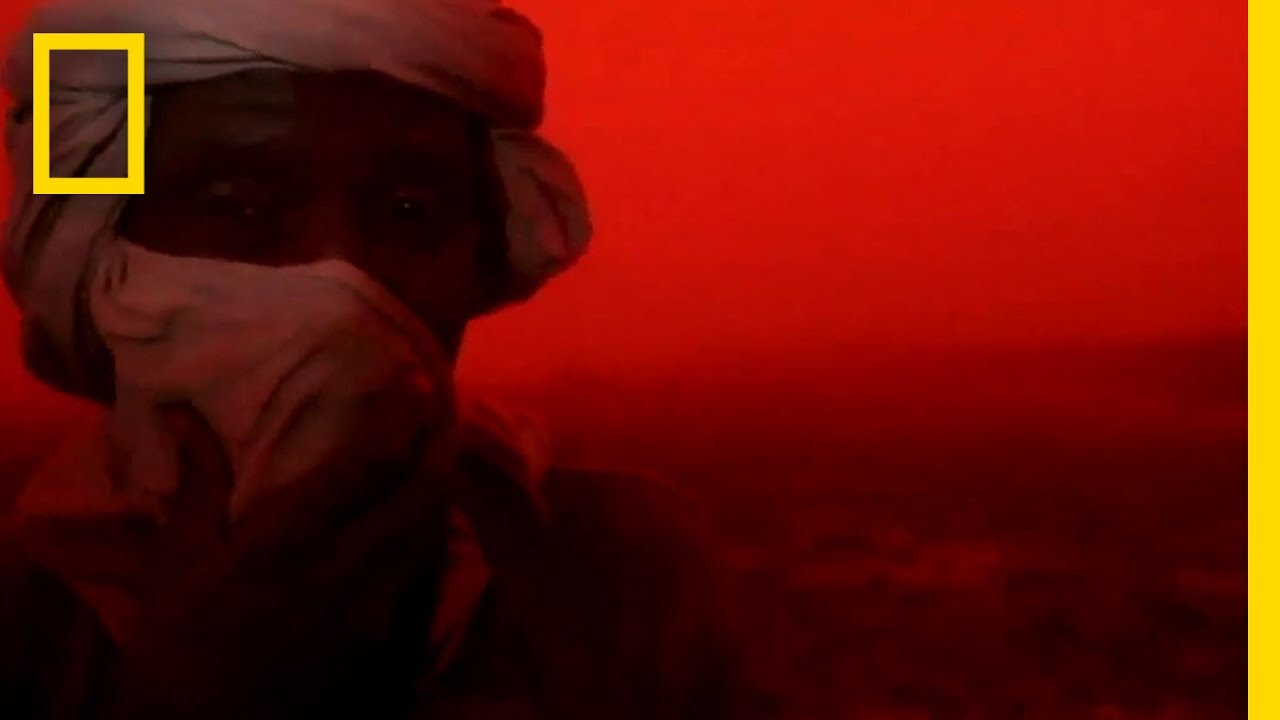 Shooting in a Dust Storm | Great Migrations