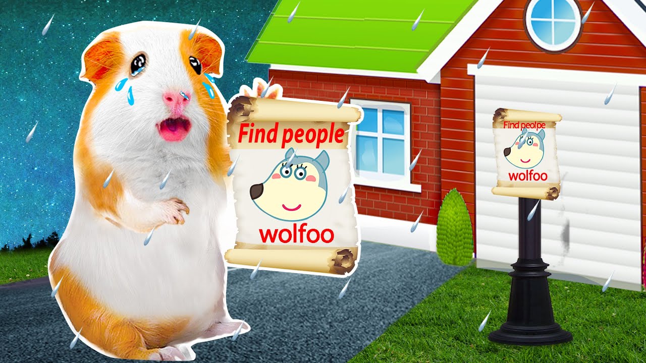Hammy&rsquo;s Rainy Rescue Wofloo Mission &ndash; Finding a Lost Friend in the Storm! 🌧️🔍🐹| Hammy Haven