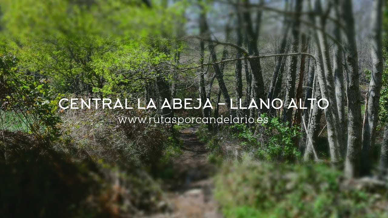 R07 LaAbeja LlanoAlto  - Rutas por Candelario (Castellano)