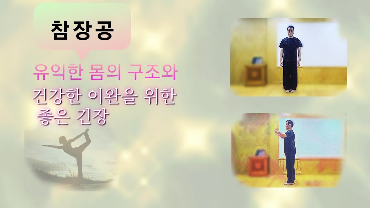 좋은 구조와 탄성으로!유익한 참장공.태극권.기공