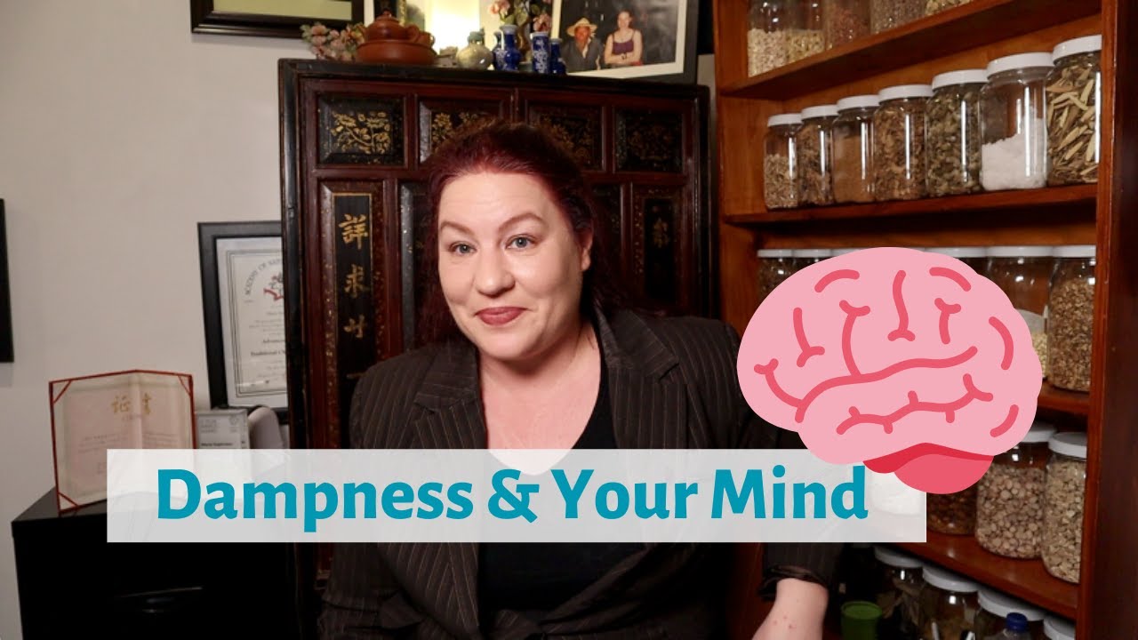 Stop Brain Fog! Dampness & your mind