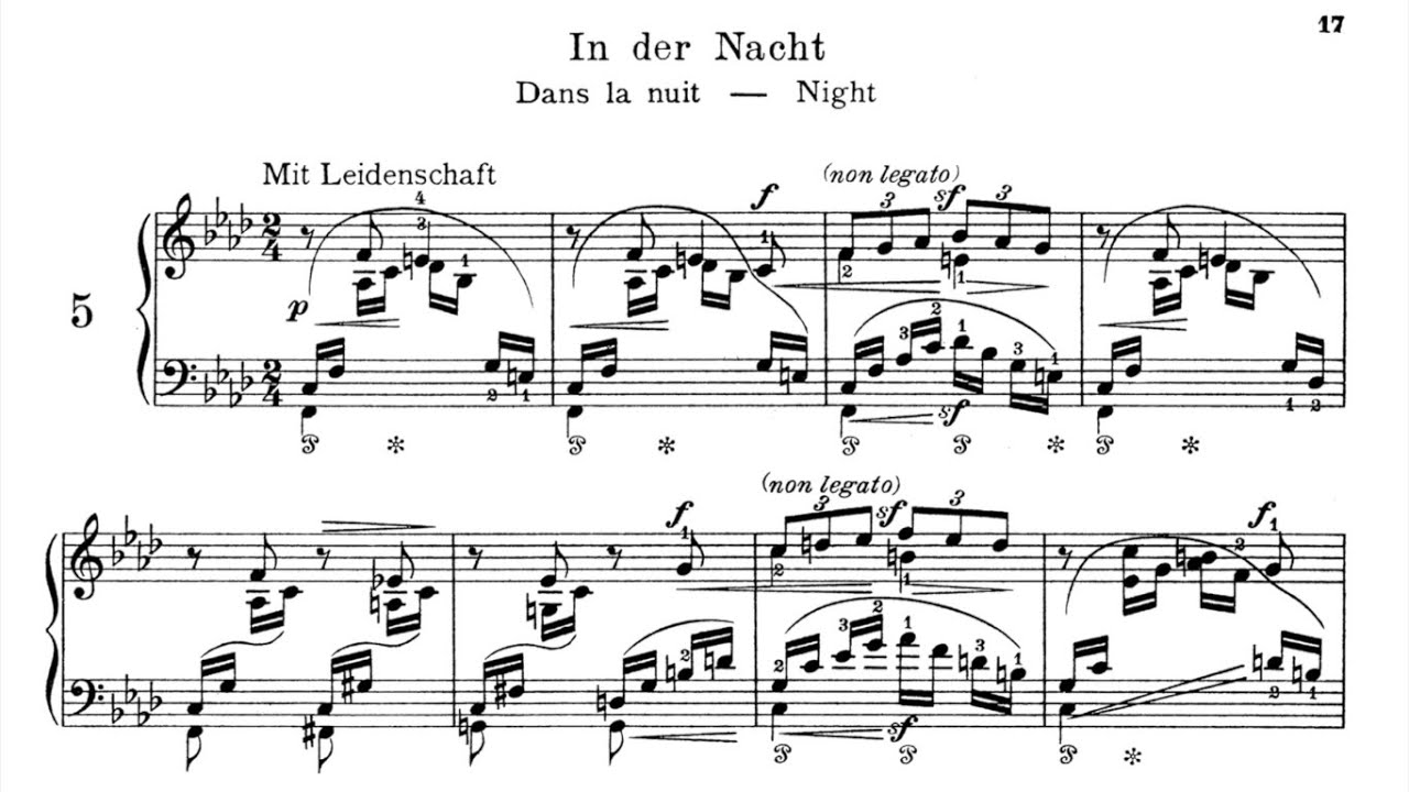 Robert Schumann - Fantasiestücke Op. 12 : In Der Nacht [With score]
