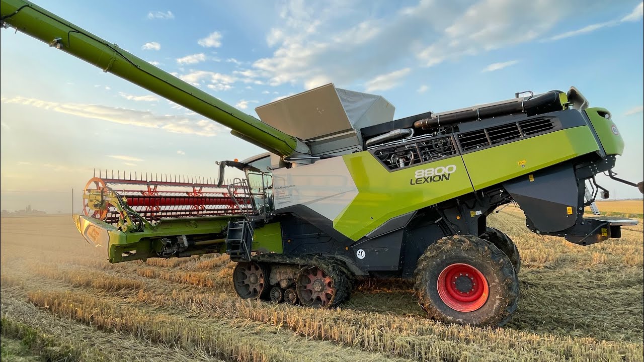 claas lexion 8800 ttr + convio 770 trebbiatura riso 2025 