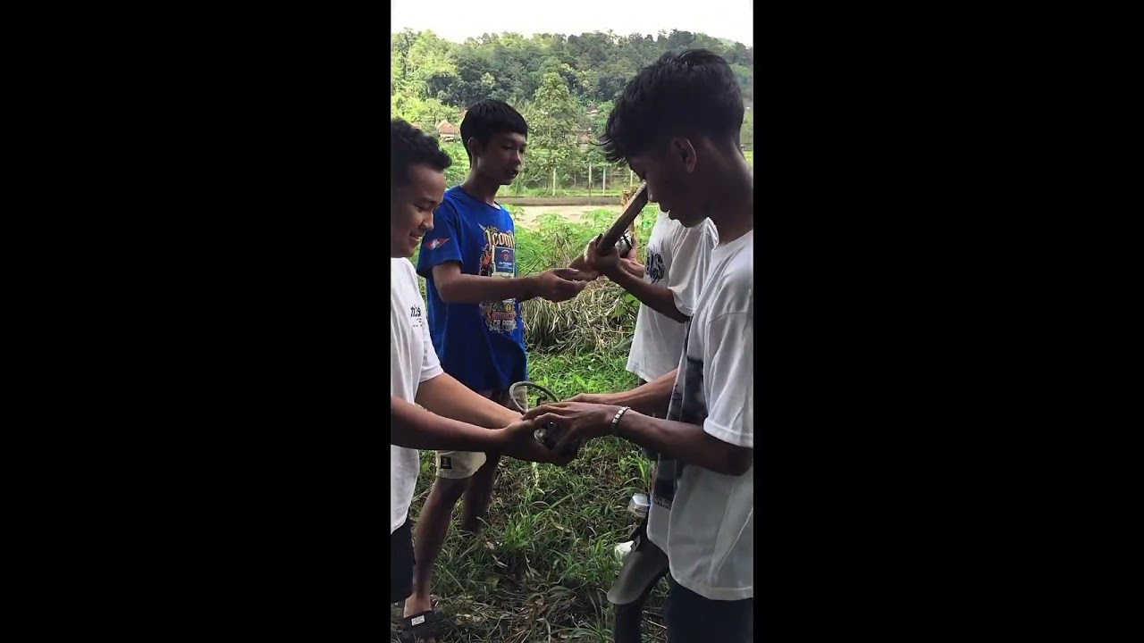 Membuat vidio tugas sekolah 