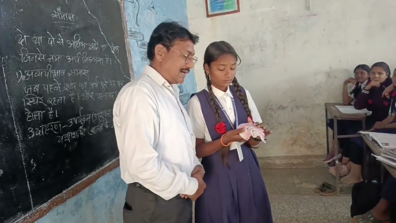 दृष्टीभ्रम- रूमाल हिरवा पोपट दिसतो - समोदनतज्ञ डॉ . अनराज जी टिपले