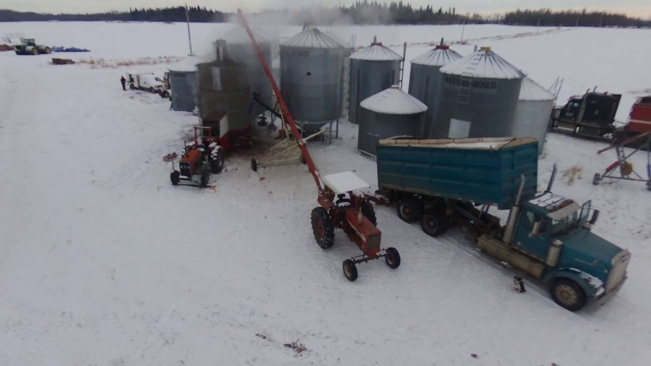 Drying canola w/ GT RB800