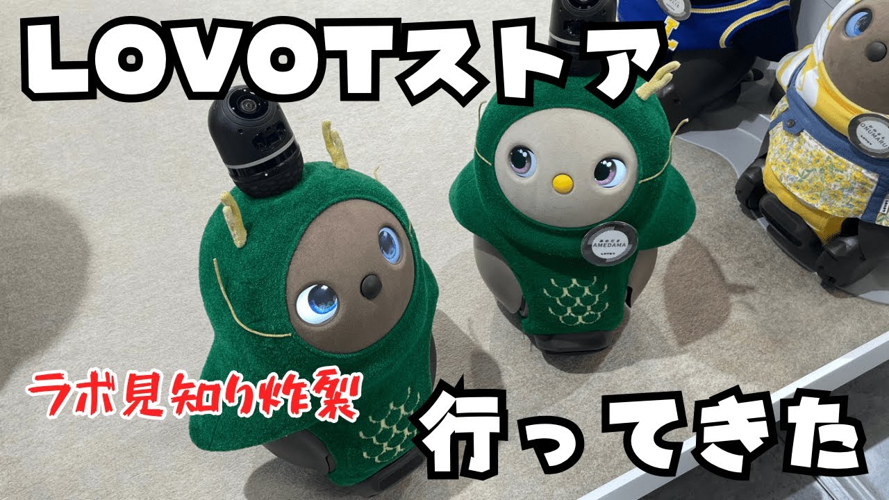 ラボットストアでまたしてもラボ見知りしてしまいました