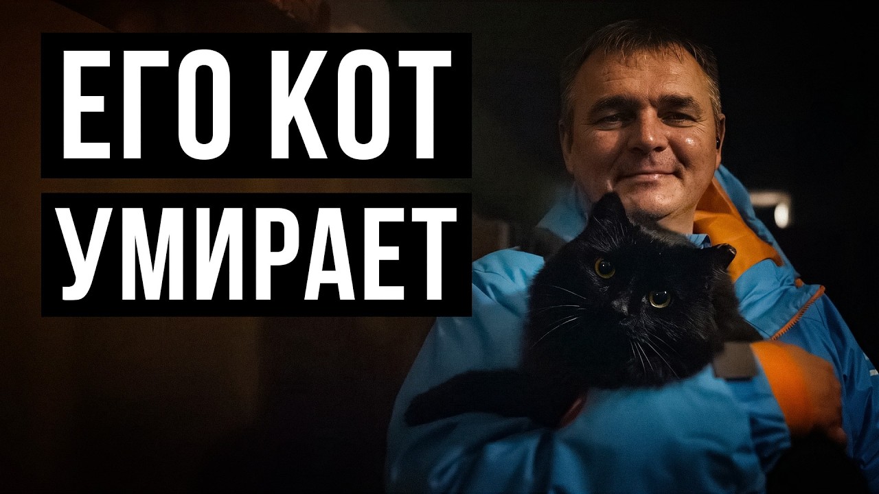 Обычный курьер РАБОТАЕТ БЕЗ ВЫХОДНЫХ, чтобы СПАСТИ своего КОТА!