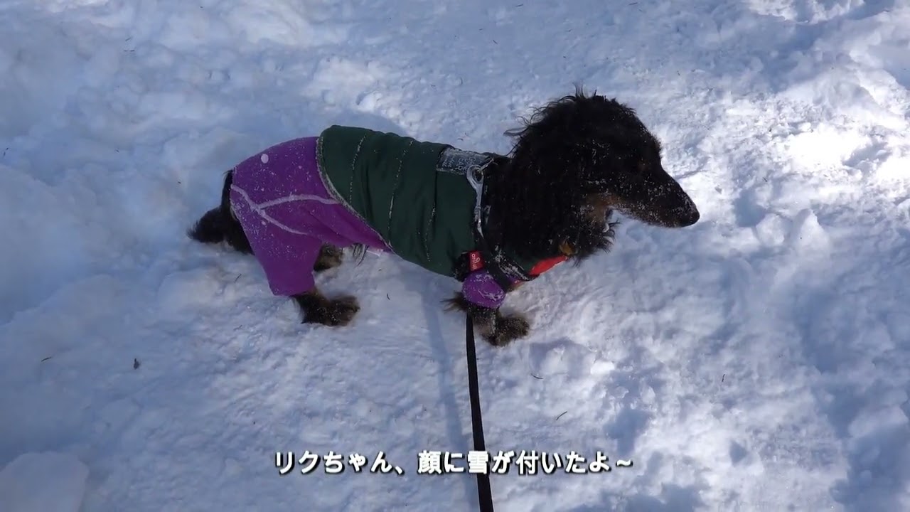 リクとまいは、雪の中を走るふたり・・・