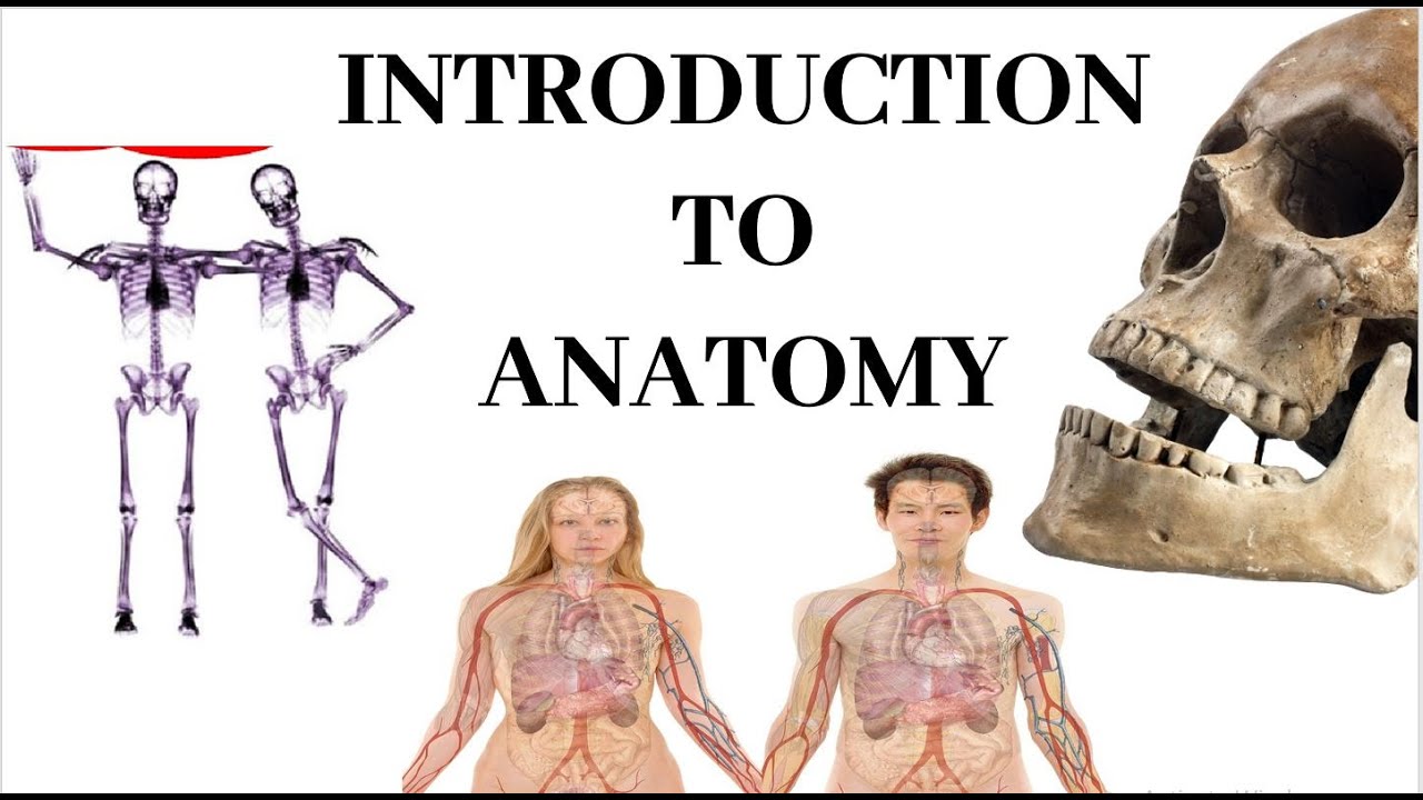 Introduction to Human Anatomy | Recorded Lecture Video for Medical students