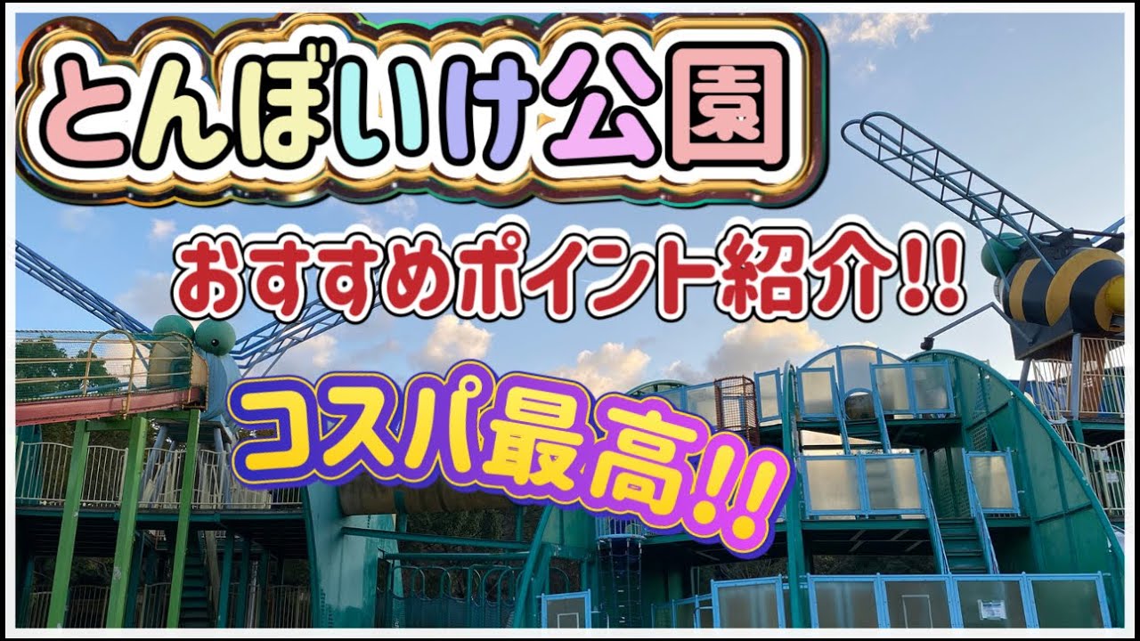 【コスパ最高】家族でとんぼいけ公園を満喫♪♪おすすめ情報を紹介!!