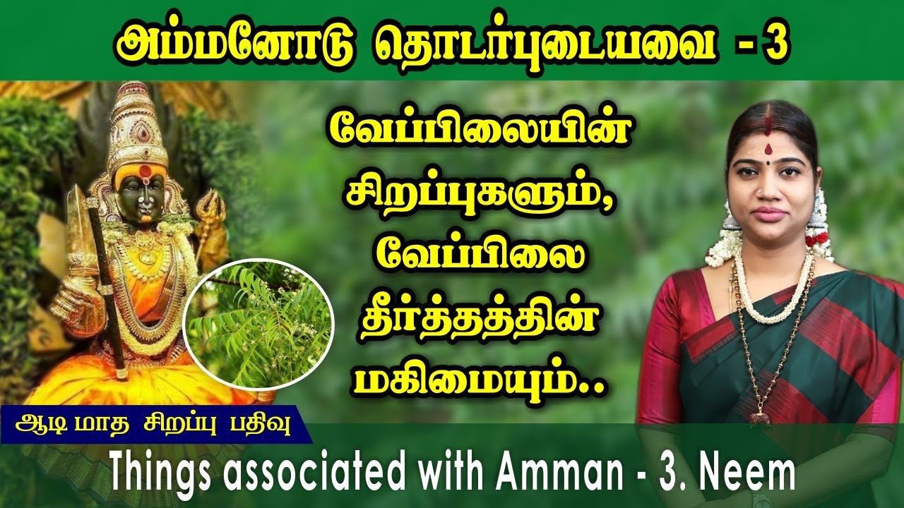 ஆடி சிறப்பு பதிவு 3 - வேப்பிலையின் சிறப்புகளும், வேப்பிலை தீர்த்தத்தின் மகிமையும் | Auspicious Neem