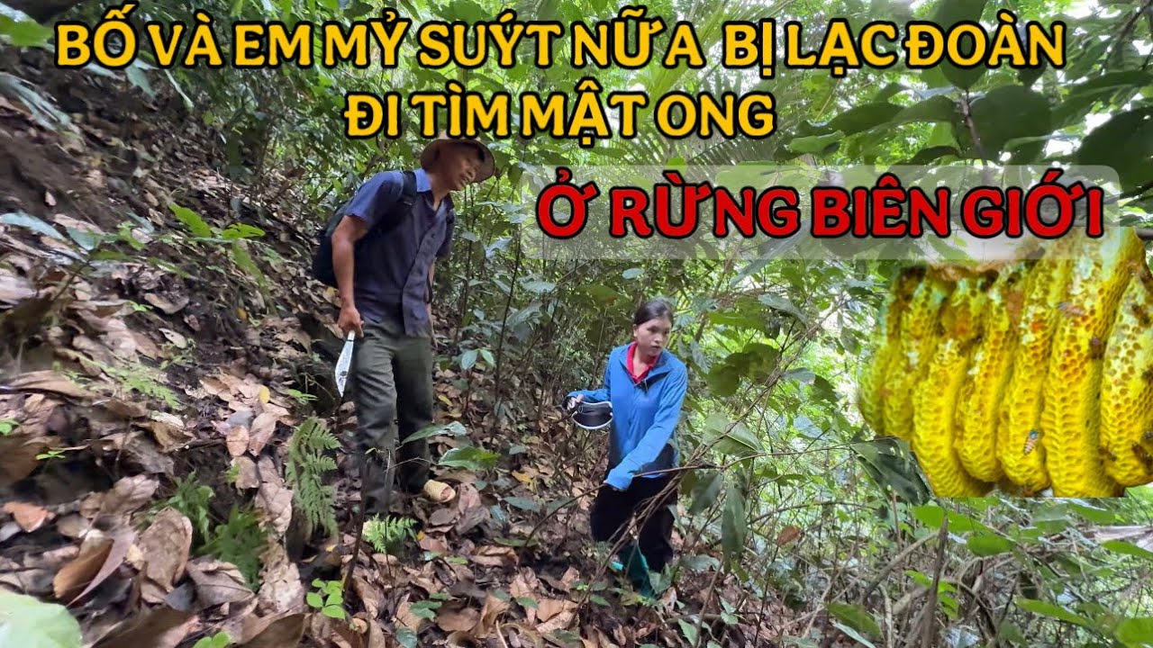 Bố Và Em Mỷ  (Suýt Nữa Bị Lạc Mất Đoàn Tìm Mật Ong ) Ở Rừng Biên Giới 🇨🇳