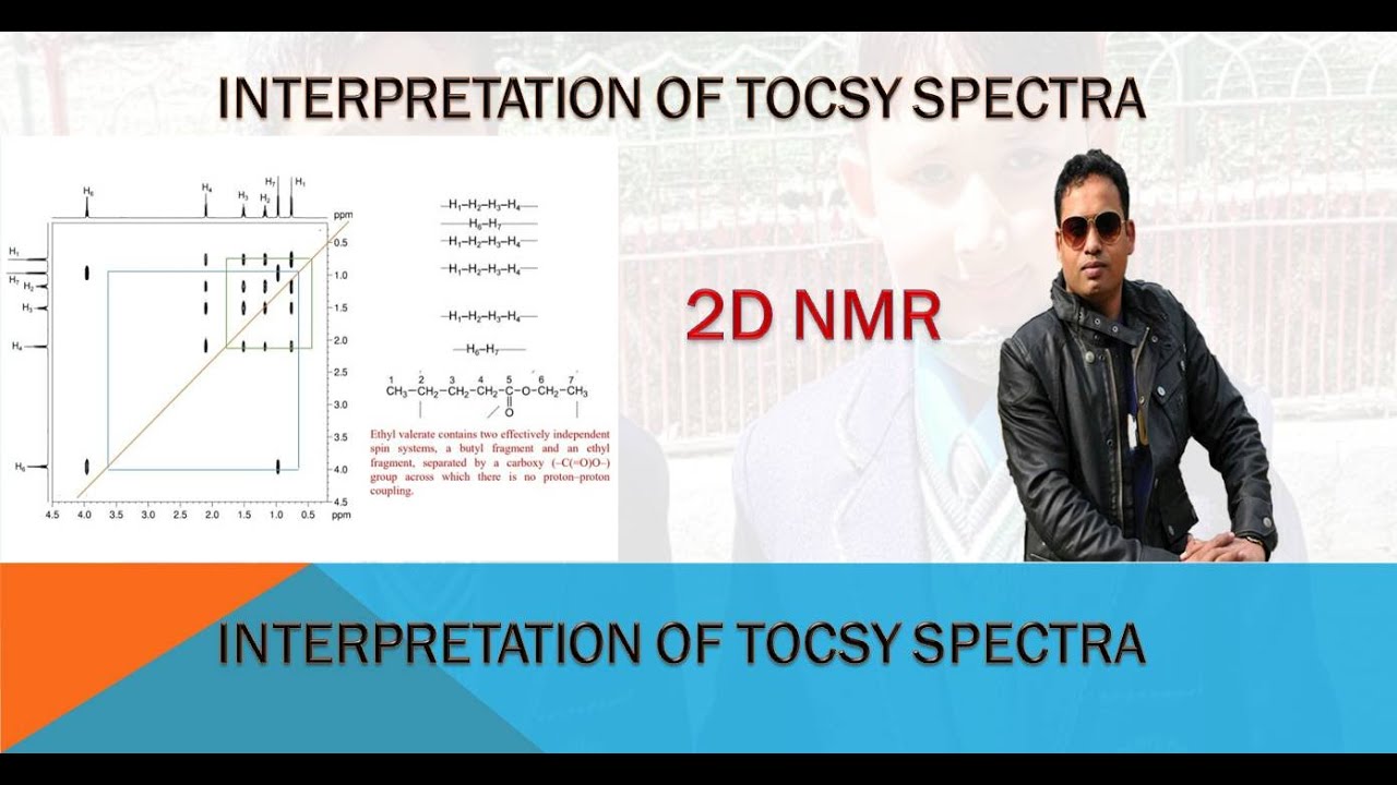 2D ЯМР: ИНТЕРПРЕТАЦИЯ TOCSY ЯМР