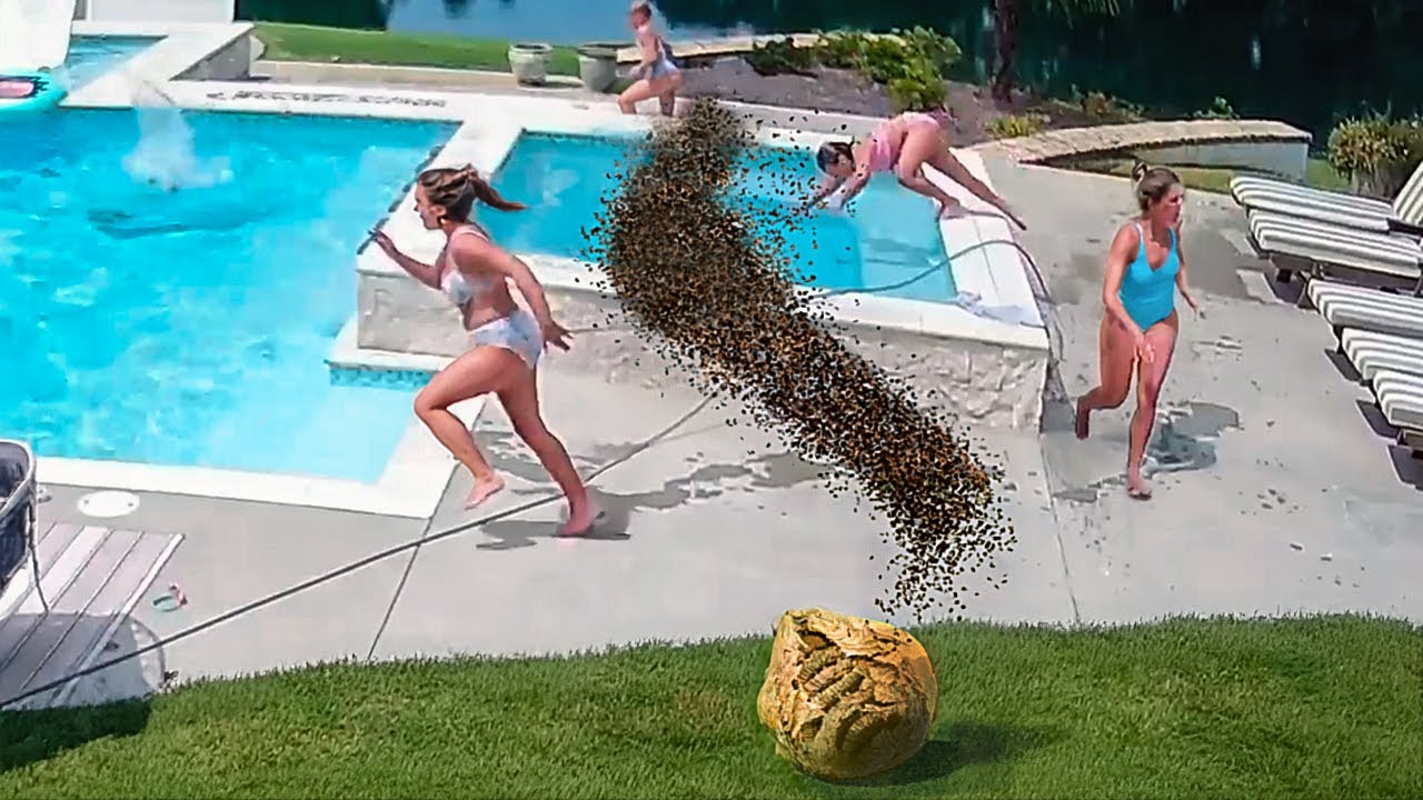 САМЫЕ ЛУЧШИЕ ФЕЙЛЫ ЗА ЛЕТО, СНЯТЫЕ НА КАМЕРУ