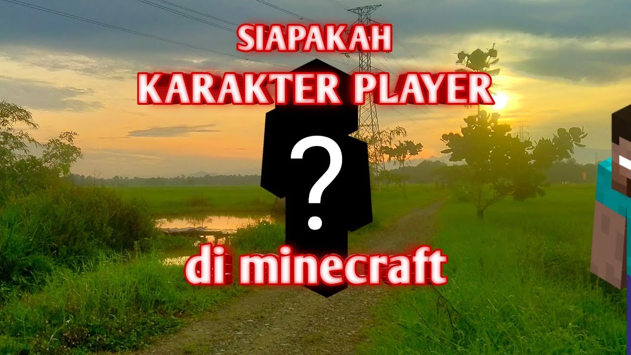 Siapakah karakter player minecraft