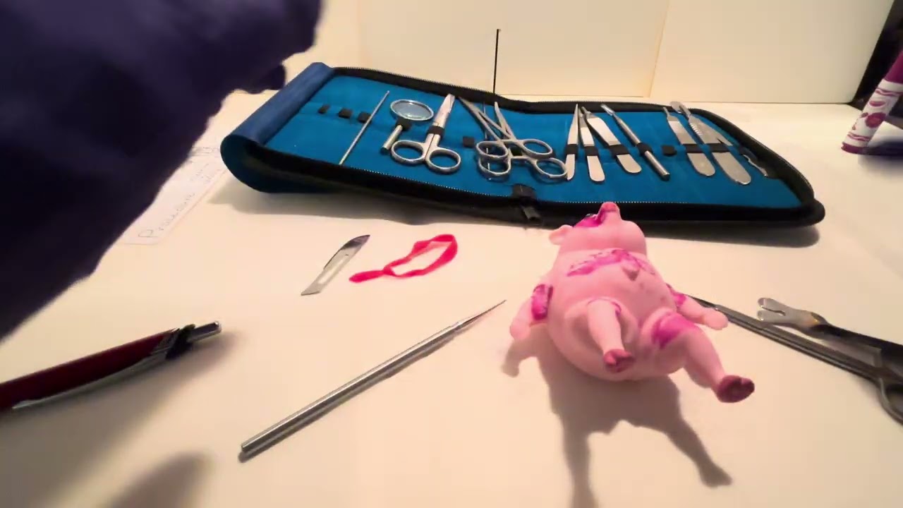 Intense Squishy Surgery ASMR (Warning: Scaryy)