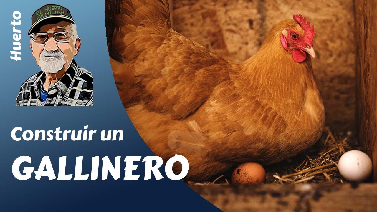 Aprende cómo construir un gallinero en el Huerto, paso a paso. ¡ Y CON AMIGOS!