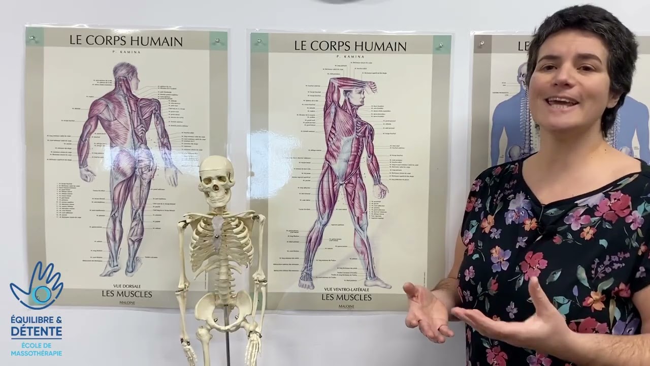 Massage Suédois I avec Catherine Dugas Savoie