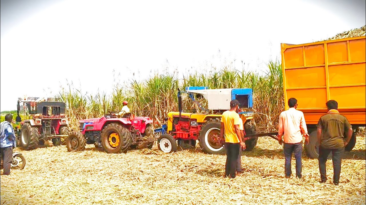 😱🔥🚜तीन ट्रॅक्टर, अर्जुन ट्रॅक्टर च हुक्क तुटलं, नुस्ता धुडकुस #agriculture  #viaral #fb #instagram
