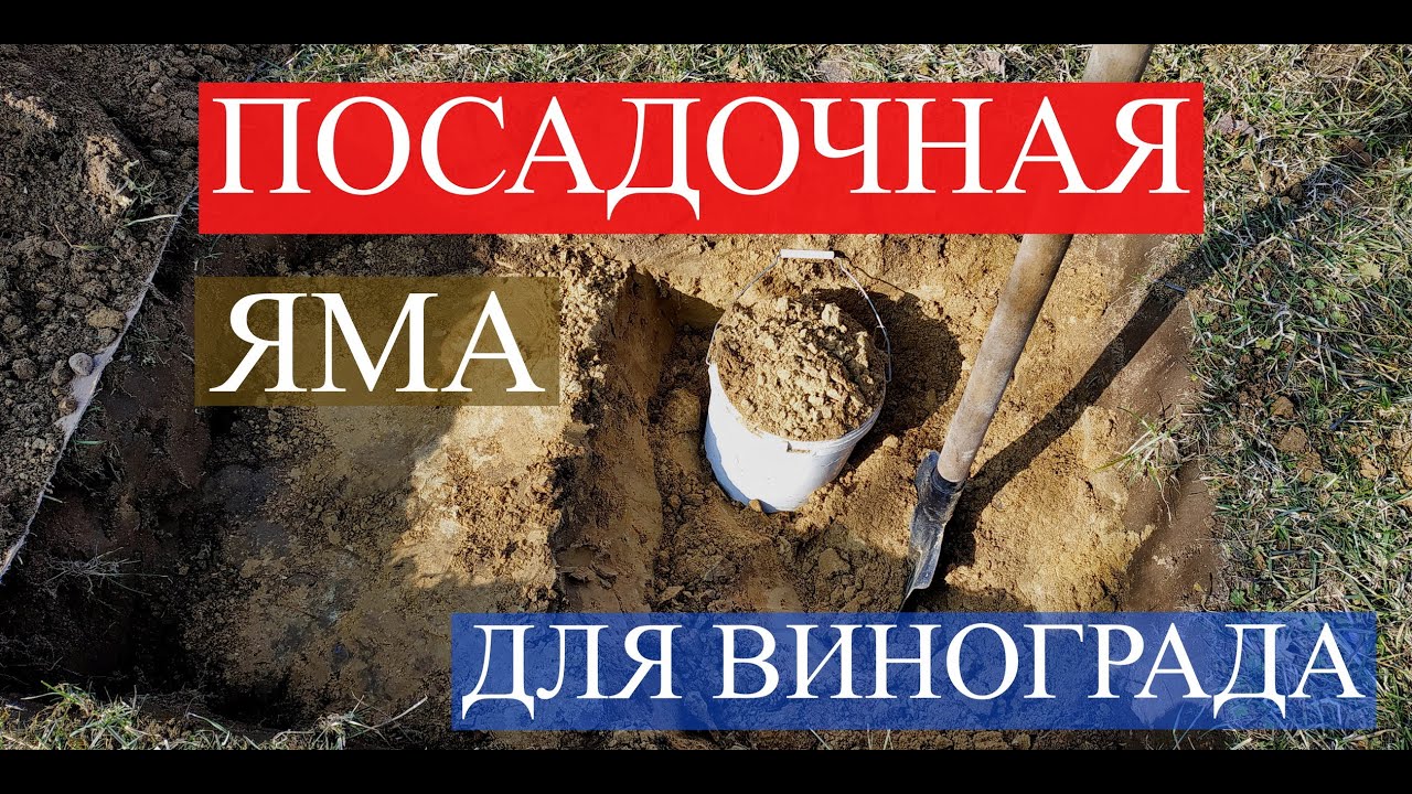 Посадочная яма для винограда.