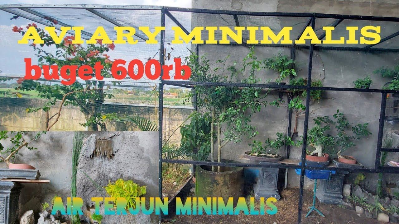 aviary minimalis part 2 | burung burung mewah