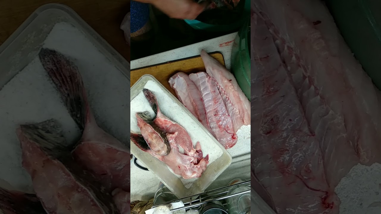 сом ,засолка и копчения