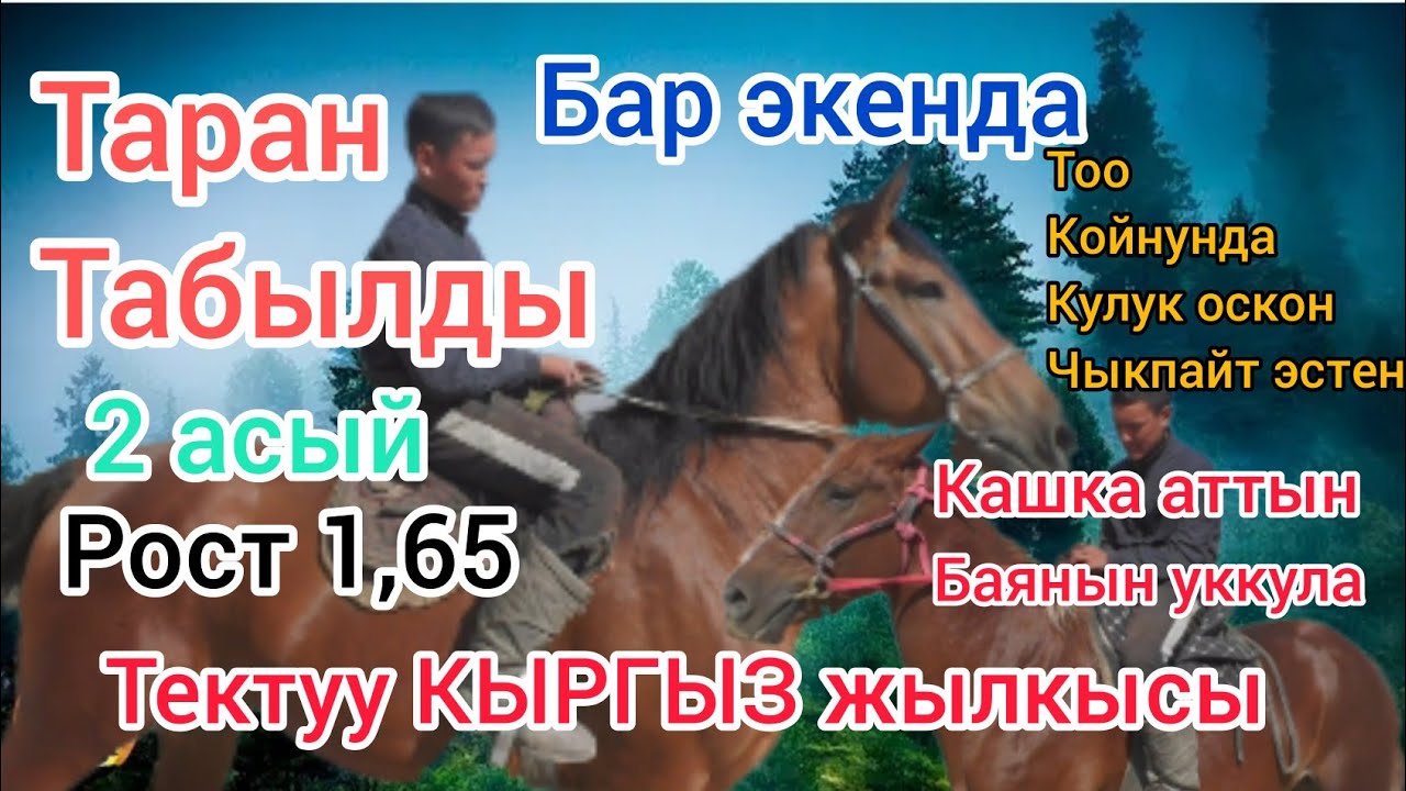 Таран сатылды