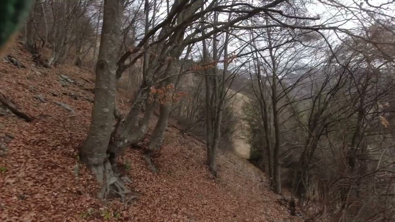 Uccellatore S Stefano 2022 MTB 1