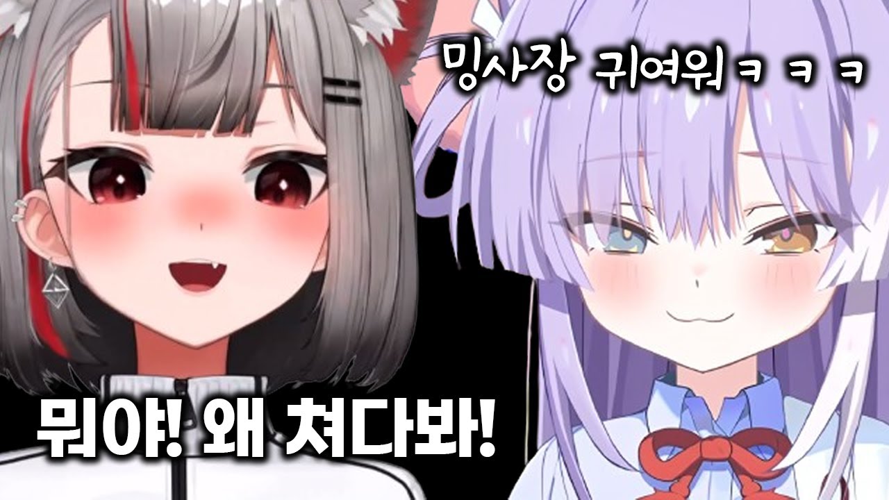 시로와 부키는 만날때마다 귀여움