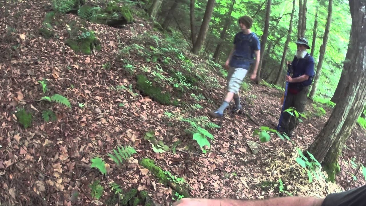 Finger Lakes Trail sugar hill to Watkins Glen