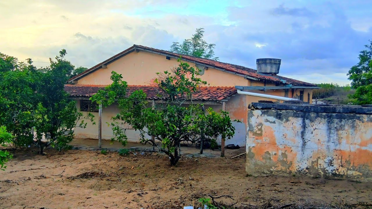 Vende-se Sítio entre Montadas e  Puxinanã  RS500 mil - Dia dos Trovões e Relâmpagos 🌩 🌩 🌩🥑🍓🍇🍉🍍🫛🥦🥬🌽🌽🌽