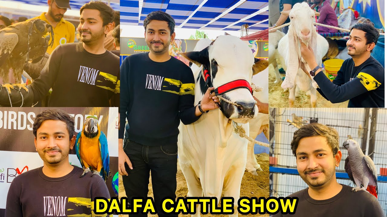 Dalfa Cattle Show in Karachi Expo Center