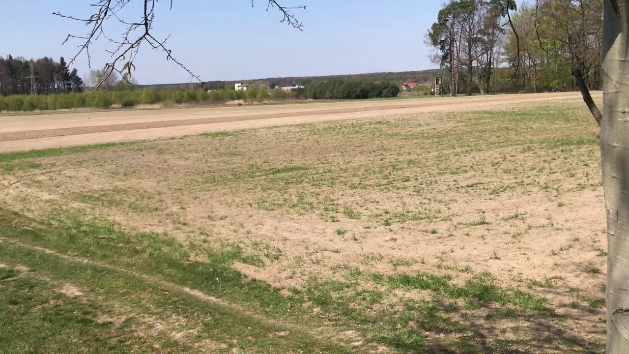 Pierwsza Ambona - Ambony Leśnicze #1
