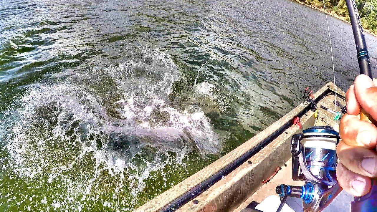 How To Attract Catfish To Your Bait! (Catch MORE Catfish!)