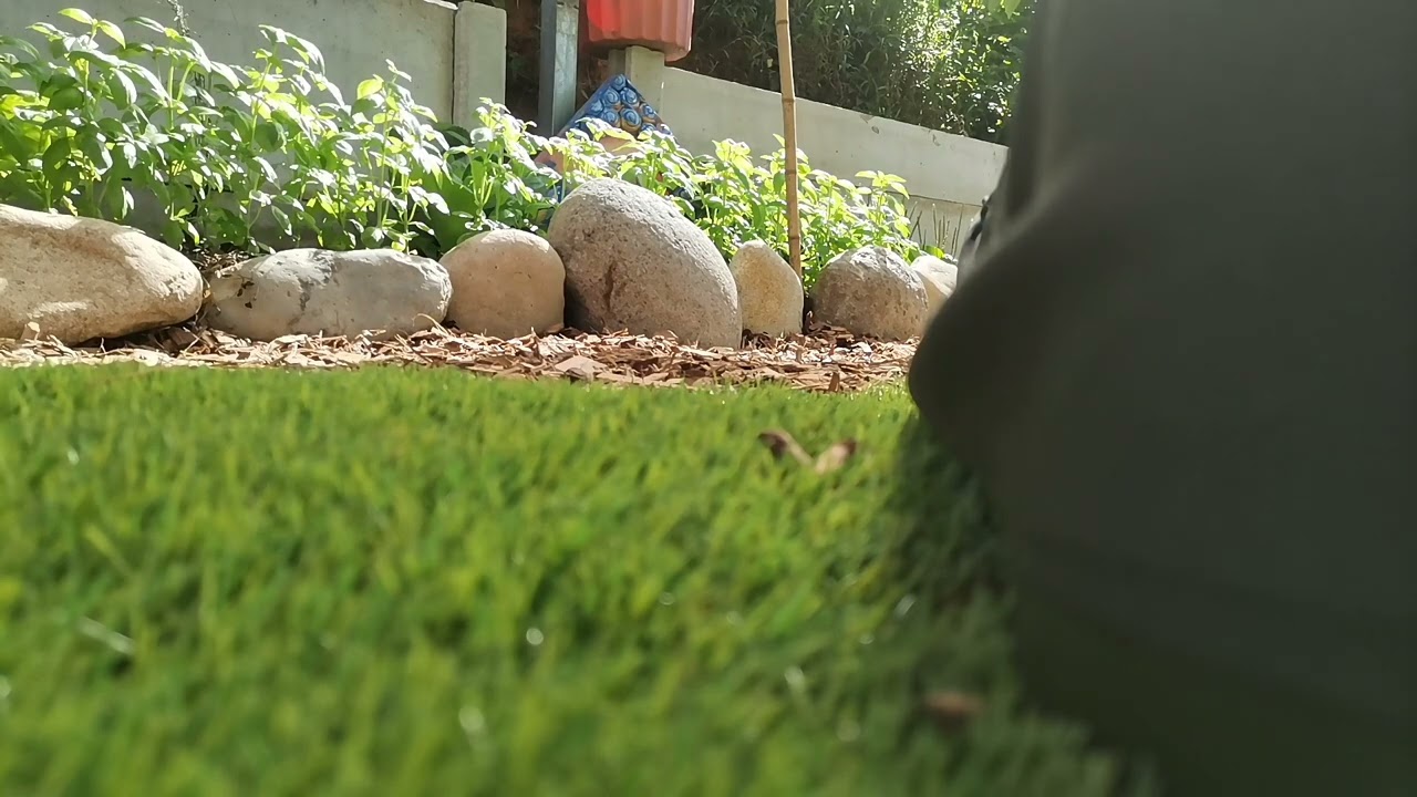 Neal_New Horizons#23_Edm Music_122bpm