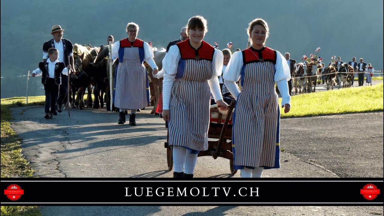 Alpabzug Plaffeien - von Alp Kommet bis Plaffeien -  LuegemolTV
