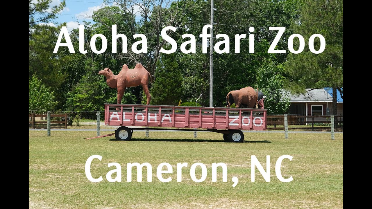 Aloha Safari Zoo in Cameron, North Carolina