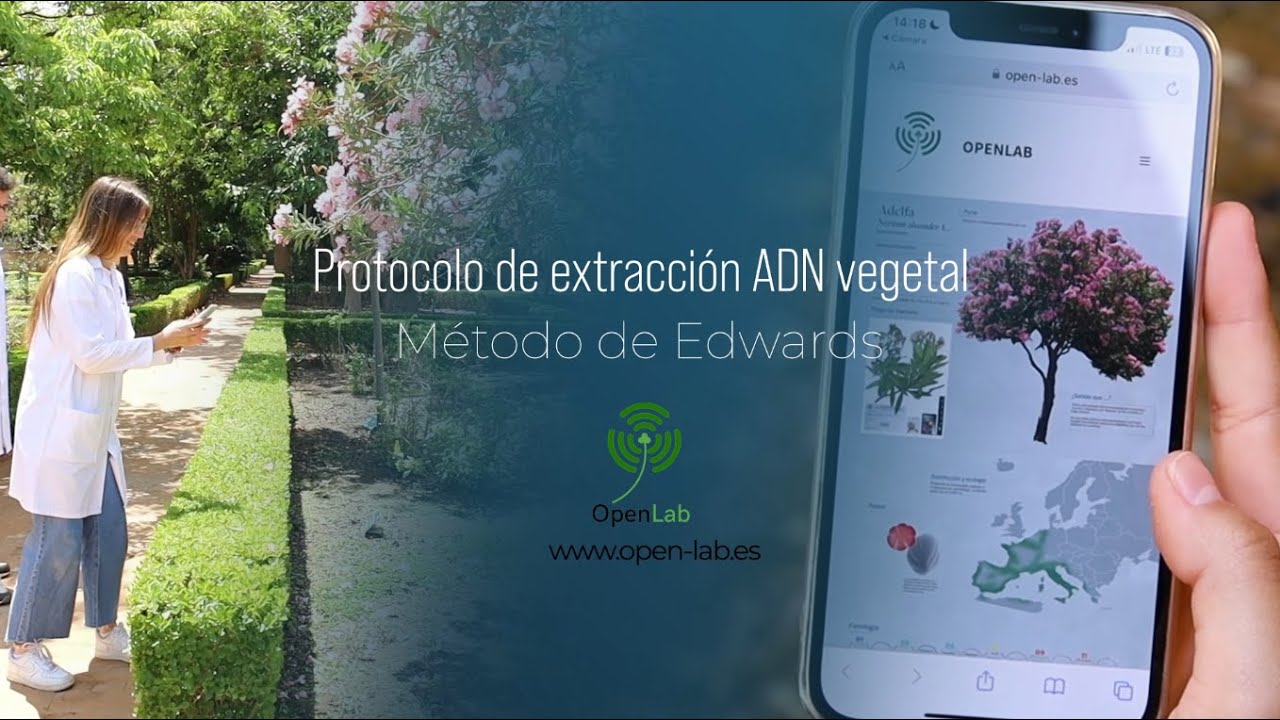 Protocolo de extracción ADN vegetal Método de Edwards