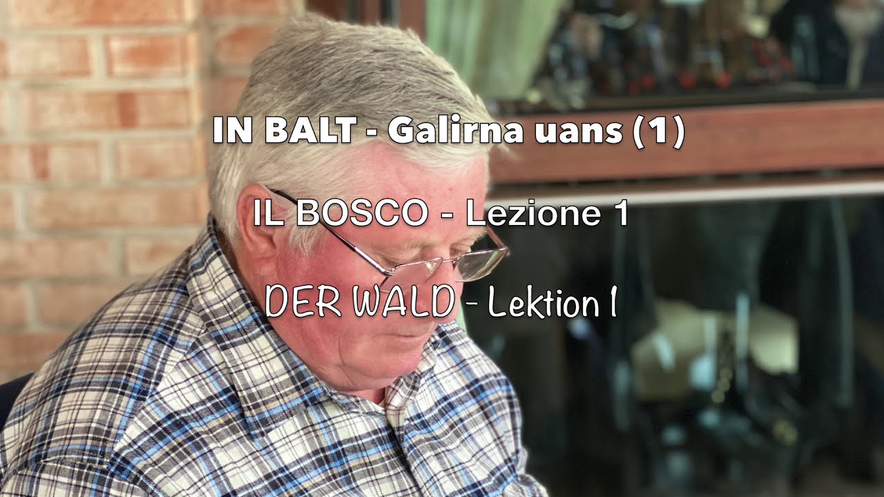 01 - IN BALT Galirna Uans - IL BOSCO Lezione 1 - DER WALD Lektion 1 - TZIMBAR - CIMBRO - ZIMBRISCH